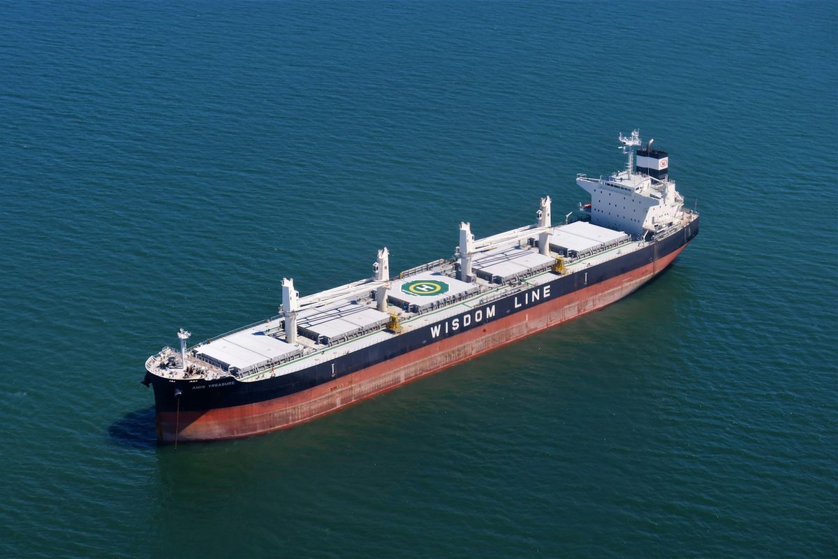 Bulk carriers — Amis Treasure